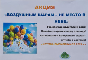 Акция "Воздушным шарам - не место в небе" Акция "Воздушным шарам - не место в небе".